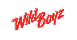 logo Wild Boyz